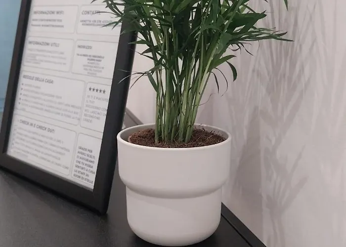 Apartment Sogni Di Stelle